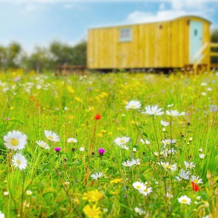 Honeysuckle Farm Holidays By Stay In Suffolk, Monk Soham Woodbridge Zewnętrze zdjęcie