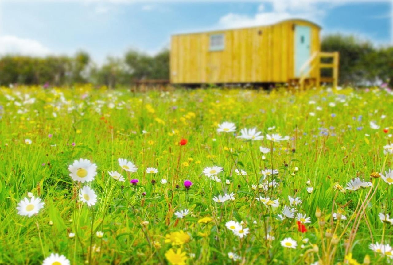 Honeysuckle Farm Holidays By Stay In Suffolk, Monk Soham Woodbridge Zewnętrze zdjęcie